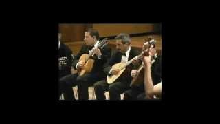 Video thumbnail of "La leyenda del beso -Orquesta de pulso y púa de Peligros-"