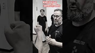 .Vingtsun-University.online