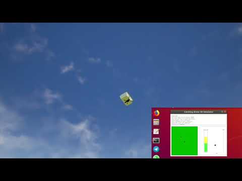 Catching drone - RT Simulation of a PD controlled drone