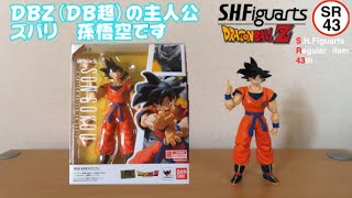 0412 バンダイ S.H.Figuarts 孫悟空 地球育ちのサイヤ人 (ドラゴンボールZ)【SR43】