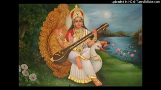 Sharavathi Tata Sharavathi Ragam Dikshithar Krithi Veena Sai Venkatesh