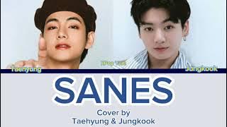 Sanes Cover by. Kim Taehyung & Jeon Jungkook (BTS)