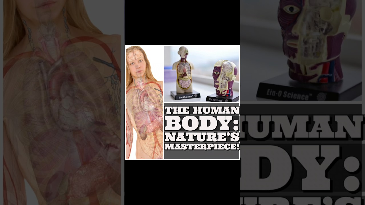 The Human Body: Nature's Masterpiece! knowledge! 