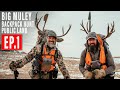 BIG MULE DEER BACKPACK HUNT| 4K VIDEO | EP 1