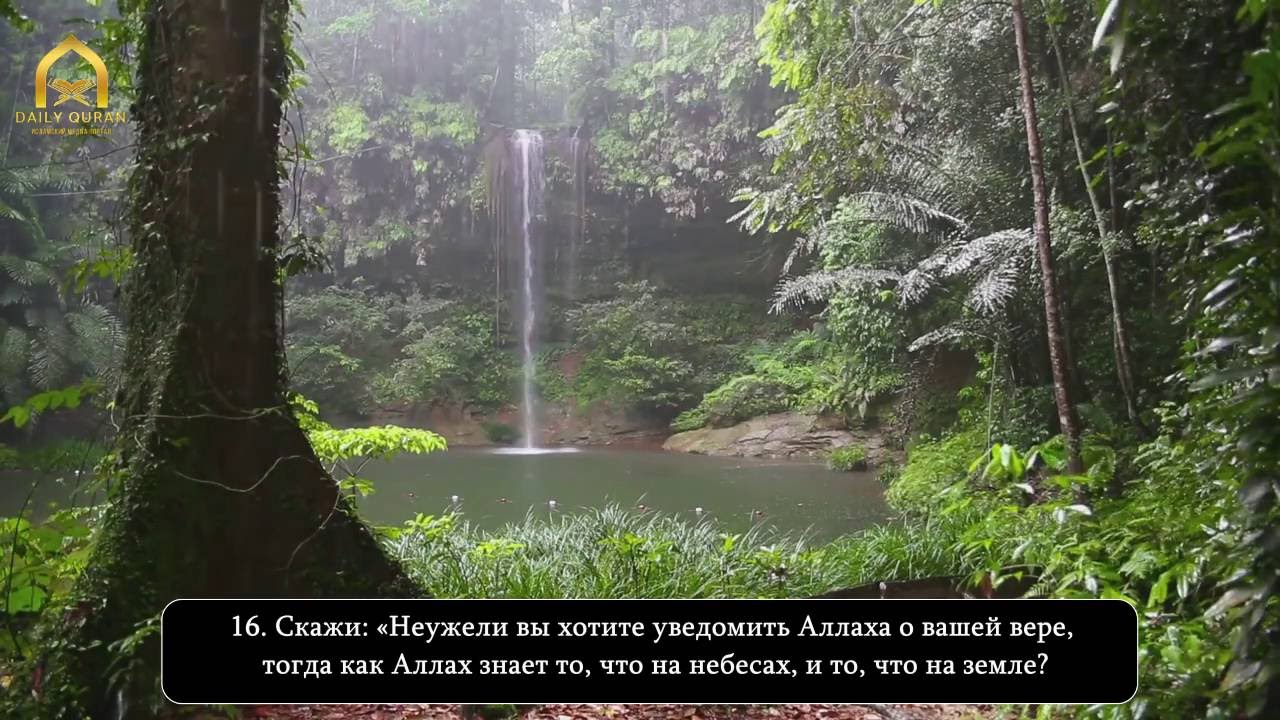 Самир аль Башир | Сура 49 "Аль-Худжурат" (Комнаты)