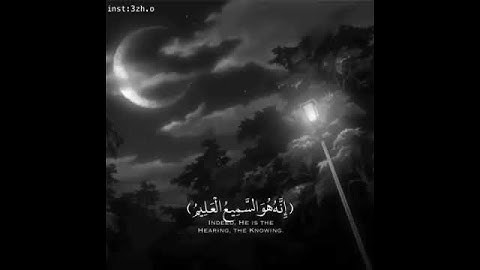 القرآن الكريم ❤🎧