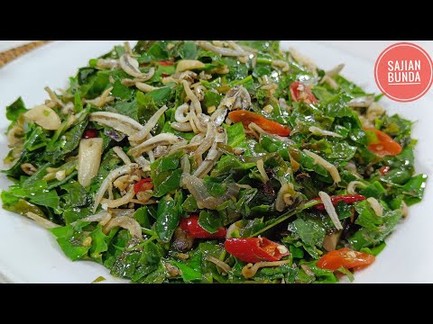 Resep Masakan Dari Daun Melinjo