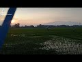 The Lowe Bros Sunset