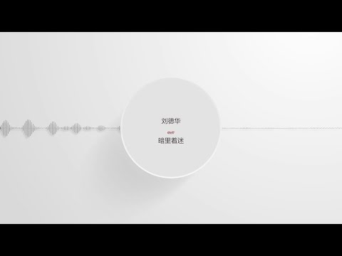 刘德华-暗里着迷