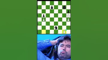 khi tôi tìm được nước đi cực hay thì... When I find a brilliant move, then... #chess #covualogic