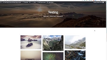 PODS plugin and Beaver Themer - Gallery and Featured Image