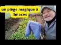 Un piège magique à limaces