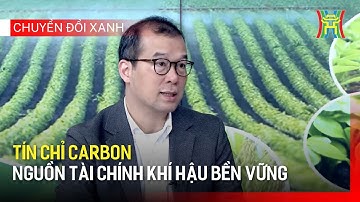 Tín chỉ carbon - nguồn tài chính khí hậu bền vững | Chuyển đổi xanh