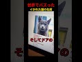 この名前にOK出したやつ誰だｗｗ #shorts
