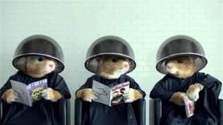 2014 Kia Soul Hamster Commercial