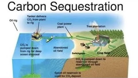 Geological Carbon Sequestration