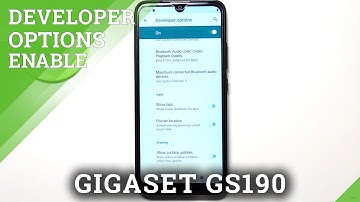 GIGASET GS190 and Phone Settings – Enter Developer Options