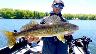 Deadly Early Summer Walleye Lure