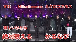 歌詞 ミクロ コスモス Mikrokosmos