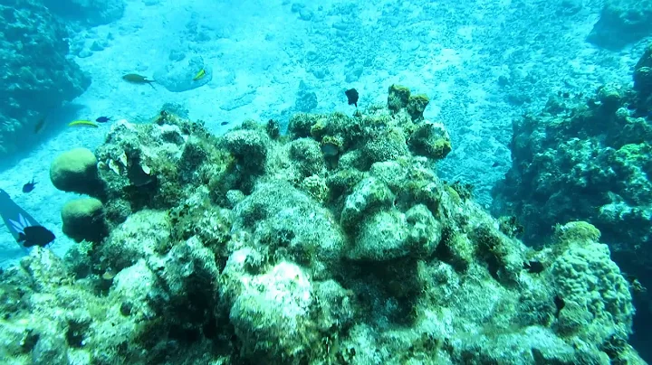June 22 Grand Cayman First Day Highlights...fir......