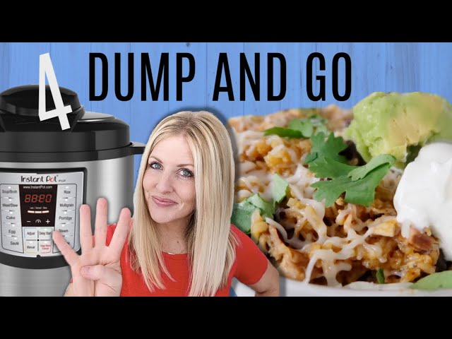 65 Dump and Go Instant Pot and Slow Cooker Recipes - 365 Days of Slow  Cooking and Pressure Cooking