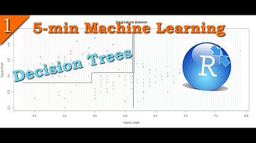 Decision Tree in R | Decision Boundary | Plot Decision Boundary
