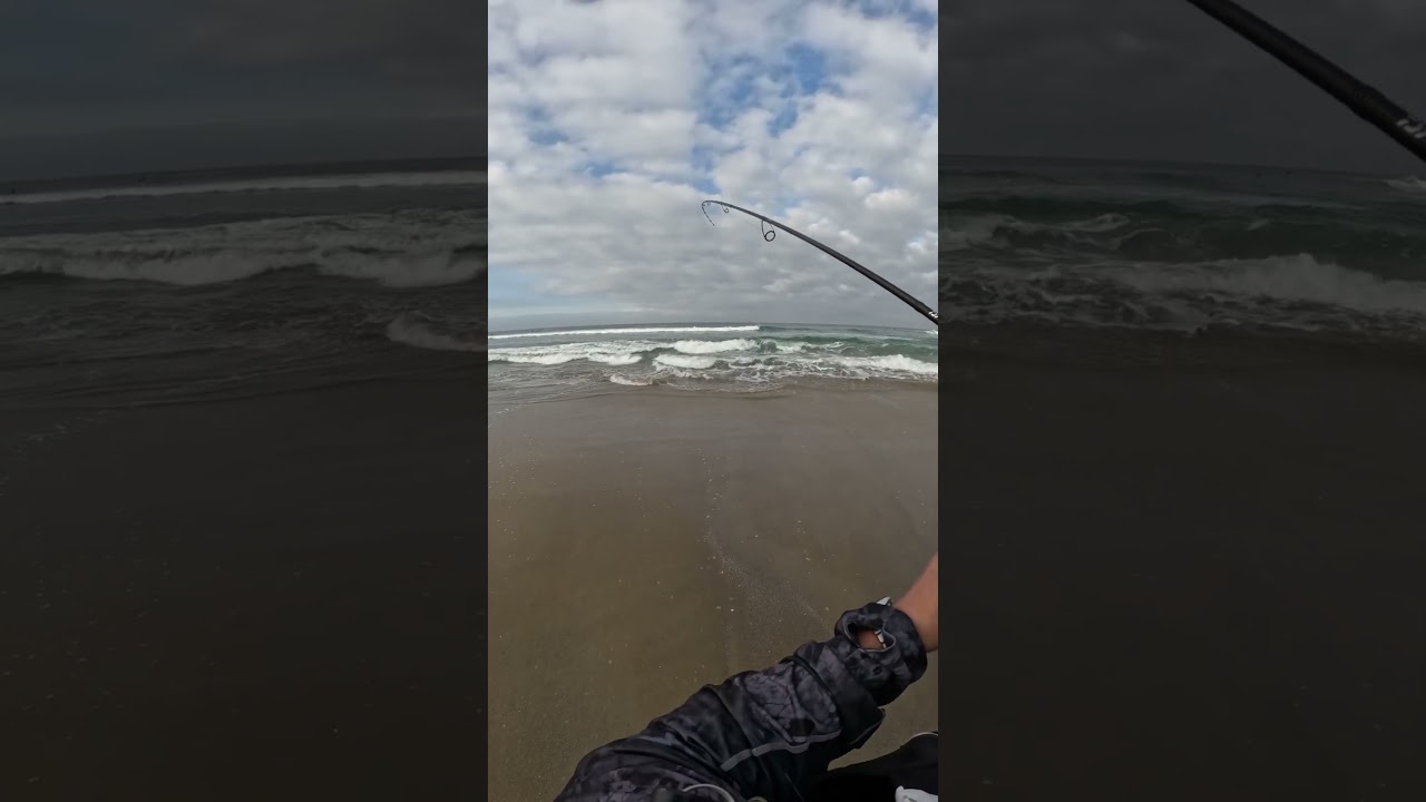 #californiasurffishing