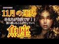 🌹🕊2024年11月の運勢【魚座】お仕事・人間関係＆恋愛・金運🗝️🌹#魚座
