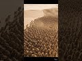 Nature’s Moving Texture: Millions of Camels in a Sandstorm 🏜️