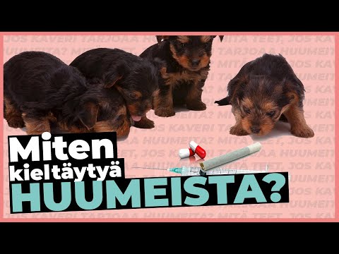 Video: Milloin toksikologiaa käytettiin ensimmäisen kerran oikeudessa?