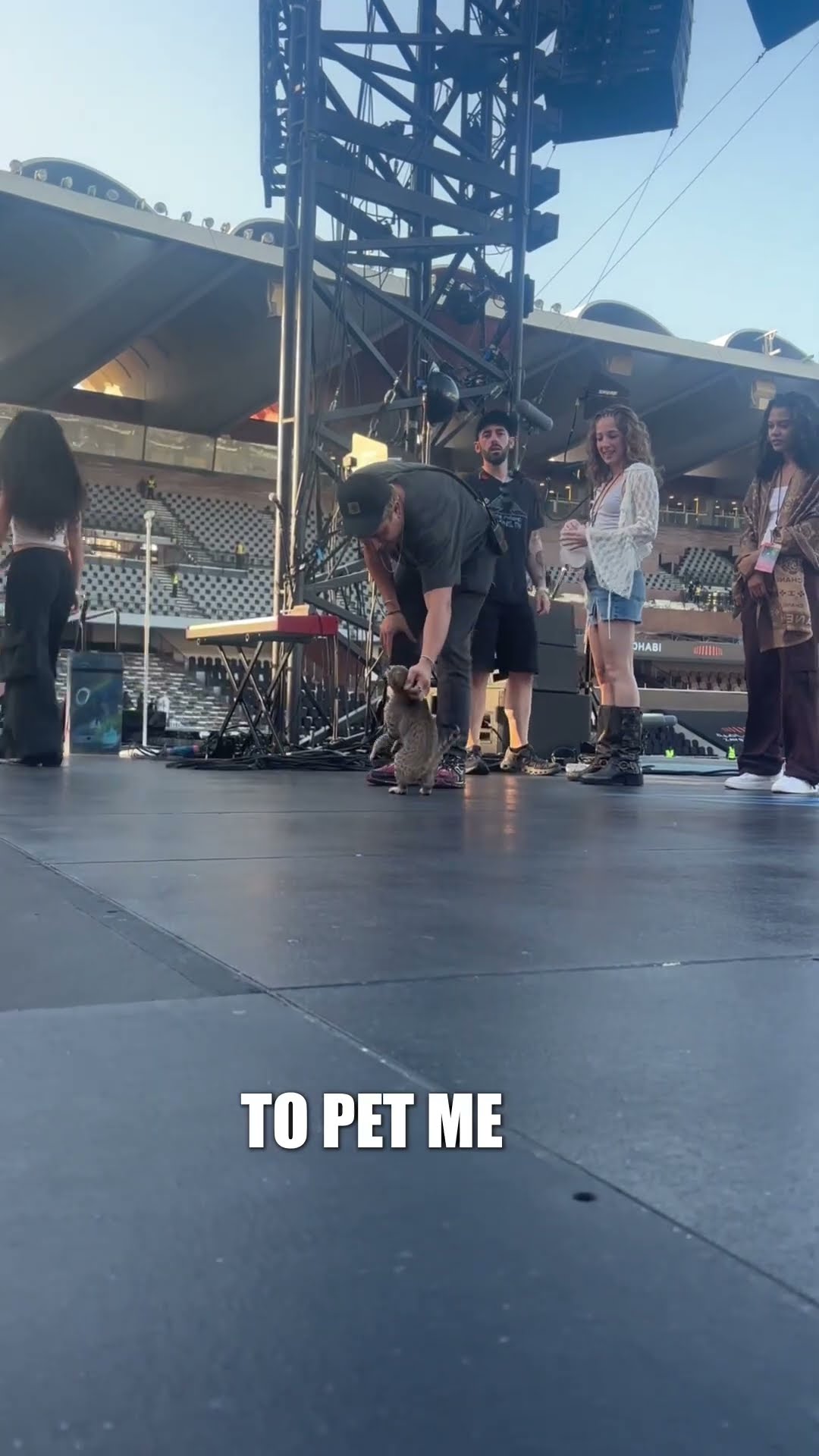 ? A day in the life of a stadium cat… #ColdplayAbuDhabi