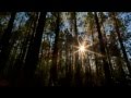 Mayday - Wiggin (Stacey Pullen Remix Music Video)