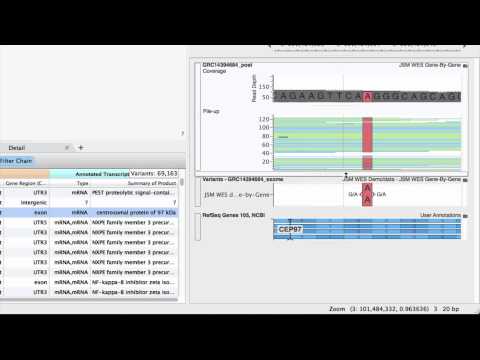 Getting Started with VarSeq