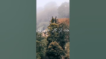 أرأيت الذي ينهي عبدا اذا صلي #المصحف #المنشاوي #قران_كريم #سورة_العلق