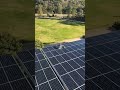 #globaltrade #solarrepair #solarconverter