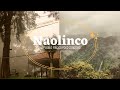 Video de Naolinco