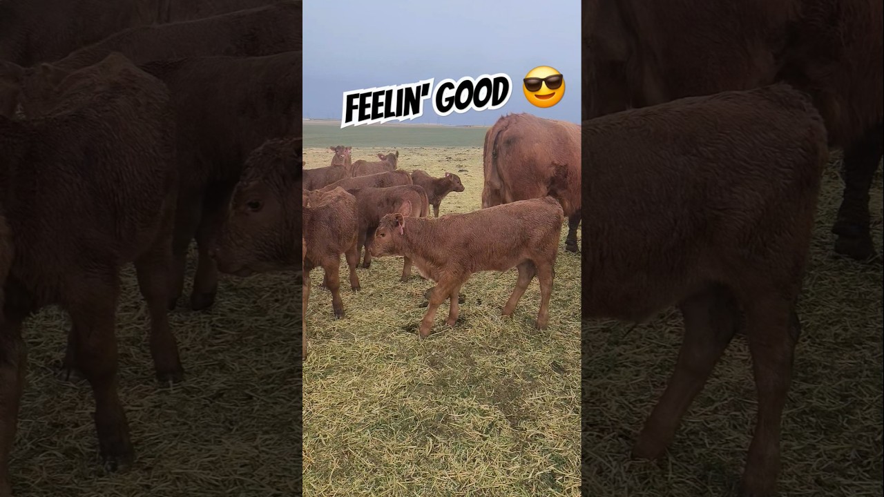 Feeling Good in Spring Showers 