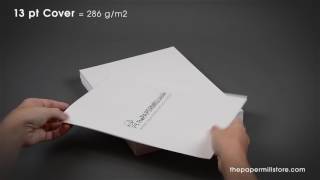 13 pt Cover