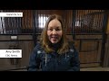 How a horse from Nova Scotia was named 2024 Superhorse