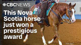 How A Horse From Nova Scotia Was Named 2024 Superhorse