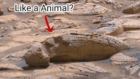 Mars Unveiled TV: Revealing the hidden wonders and mysteries of the Red Planet. Pt 480