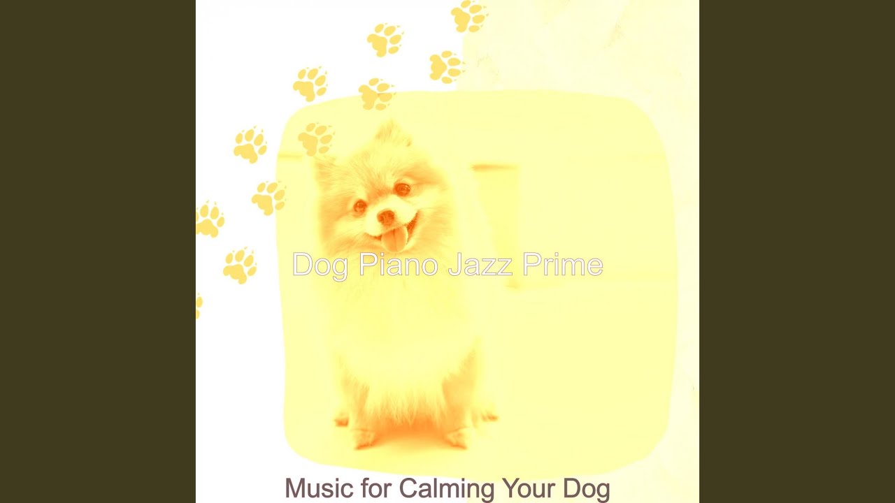 Vintage Music for Relaxing Dogs