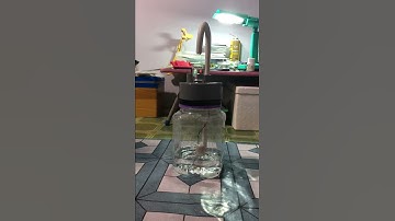 Máy rót rượu tự động cảm biến chạm