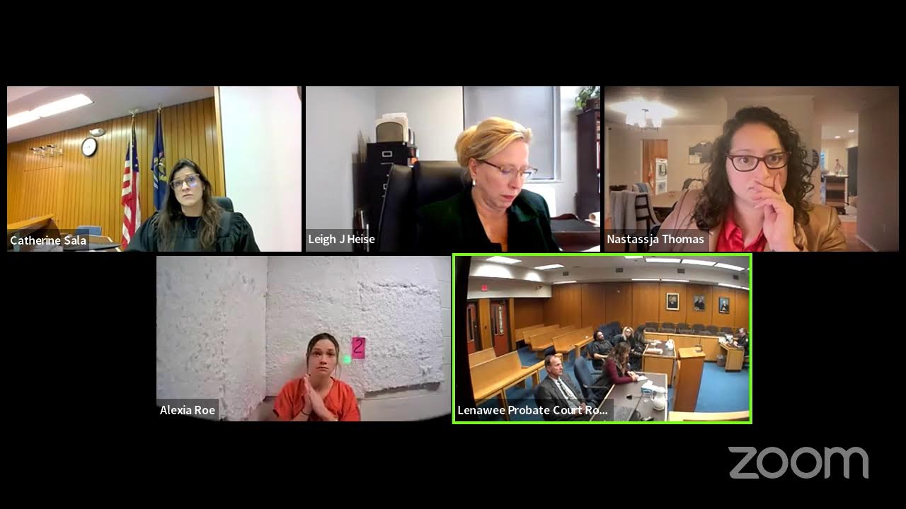 Дело суда по делам несовершеннолетних № 22-223 DL