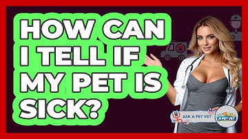 How Can I Tell If My Pet Is Sick? - Ask A Pet Vet