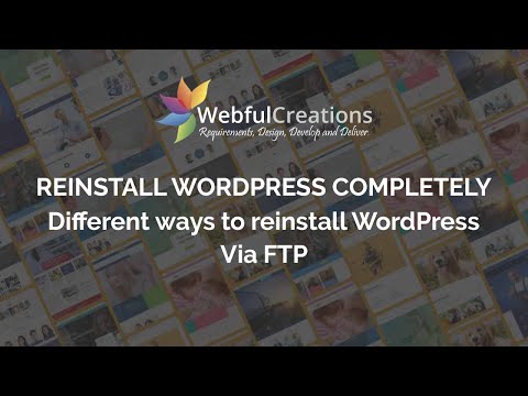 How to Update or reinstall WordPress Manually via FTP | Webful Creations