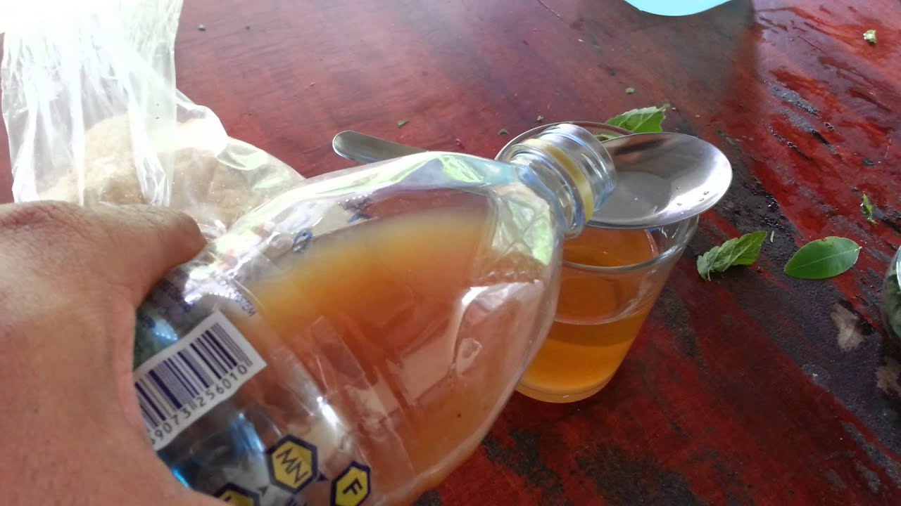 การทำจุลินทรีย์ไล่แมลงง่ายที่สุดแต่ได้ผลดีมาก