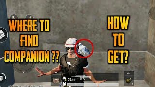 How To Find Companion In PUBG Mobile - Tips & Tricks screenshot 4