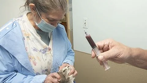 PFAS in the House - Great Lakes Now - 1022 - Segment 2