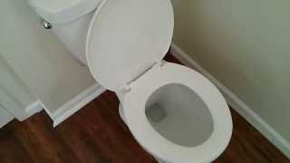 Delta Prelude Toilet Review Home Depot